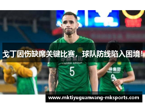 戈丁因伤缺席关键比赛，球队防线陷入困境！